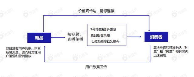 直播带货的黄金组合策略