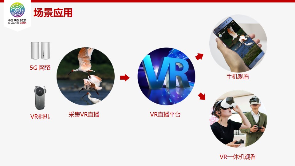 VR直播动物园-线上喂养建设方案