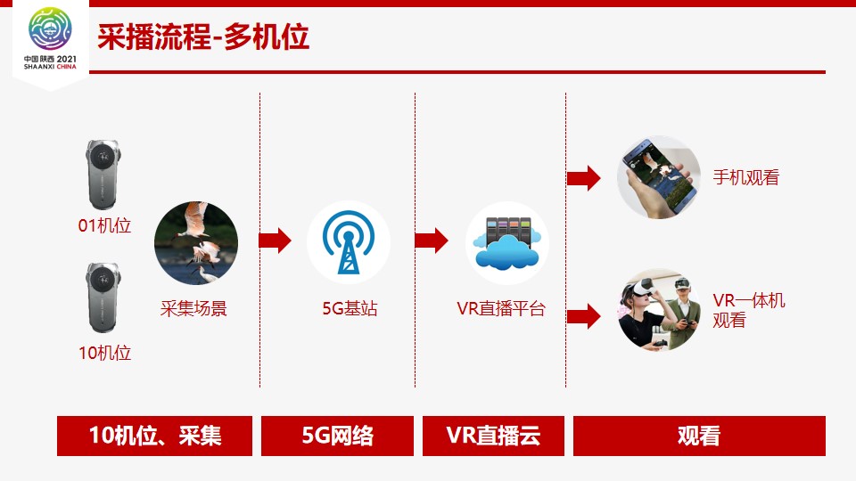 VR直播动物园-线上喂养建设方案