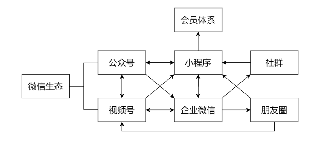 贝亲视频号直播带货案例拆解-传播蛙